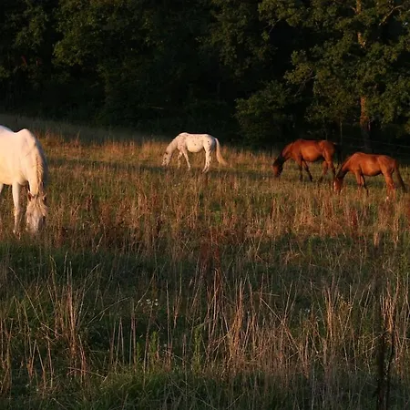 De Charme Dans Grange Renovee * Lempzours