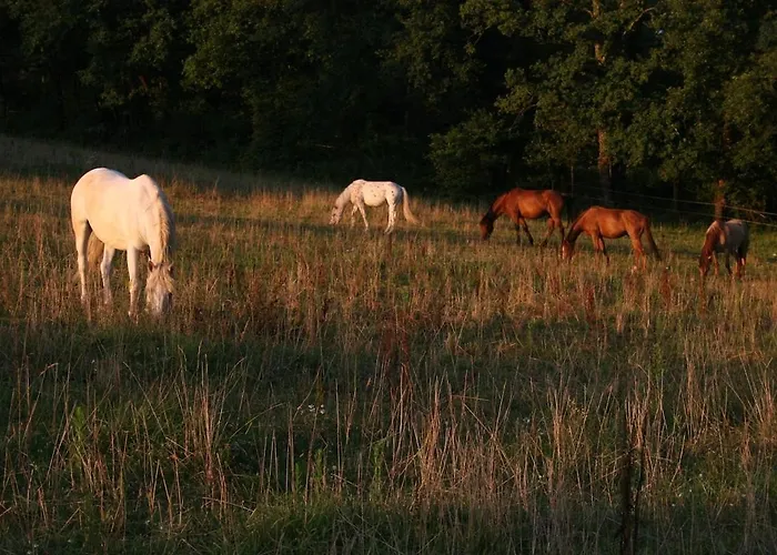 De Charme Dans Grange Renovee * Lempzours